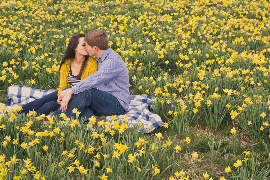 Daffodil field engagement photo inspiration. // mysweetengagement.com