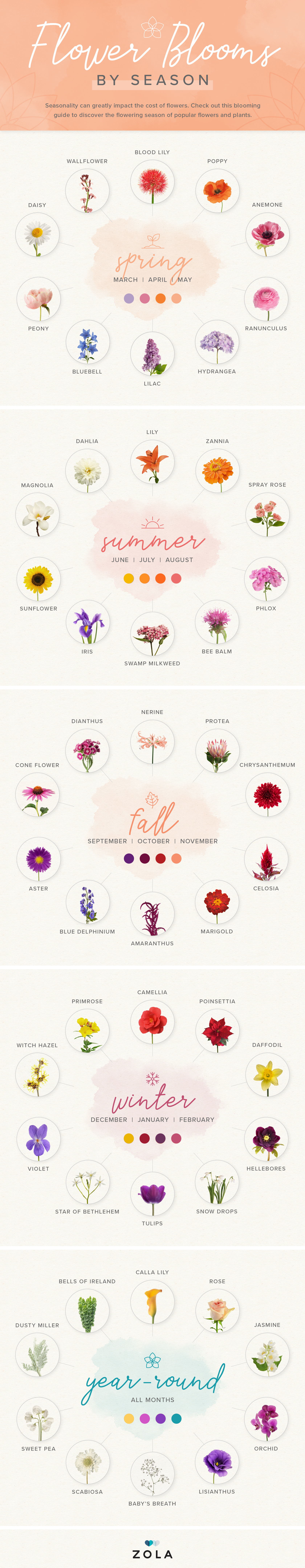 A Seasonal Guide to Minimize Your Wedding Flower Costs. Flower Blooms by Season Infographic: Spring, Summer, Fall, Winter and Year-Round Popular Flowers. // mysweetengagement.com
