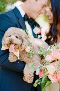 WARNING: These ridiculously cute pictures of dogs in weddings will make your day much better. // mysweetengagement.com