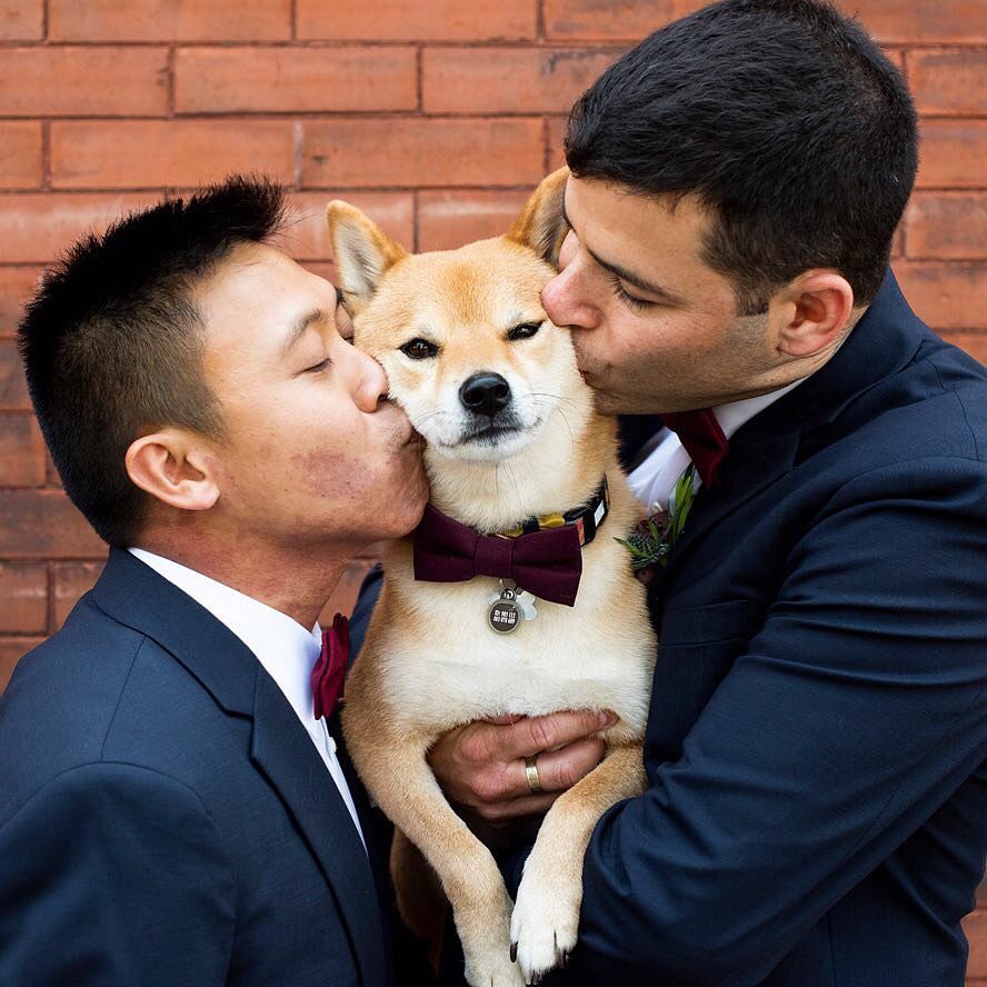 WARNING: These ridiculously cute pictures of dogs in weddings will make your day much better. // mysweetengagement.com