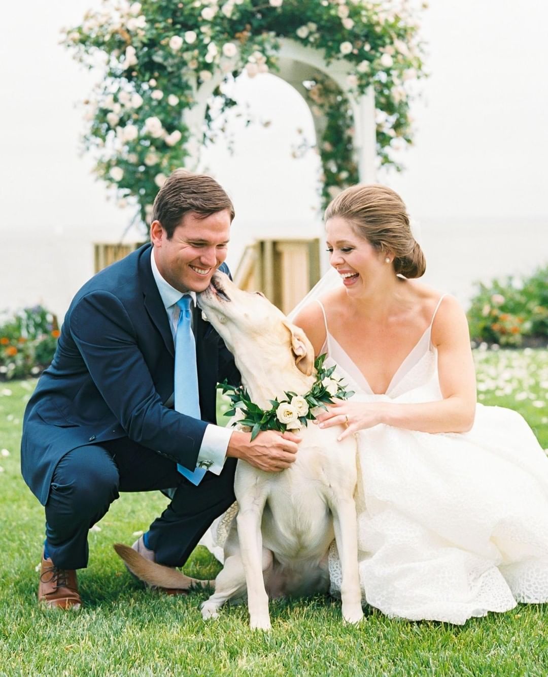 WARNING: These ridiculously cute pictures of dogs in weddings will make your day much better. // Dog kisses are the best kisses. // mysweetengagement.com