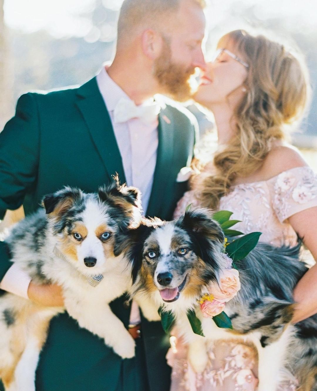 WARNING: These ridiculously cute pictures of dogs in weddings will make your day much better. // Double trouble, double cuteness. // mysweetengagement.com