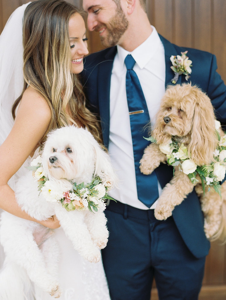 WARNING: These ridiculously cute pictures of dogs in weddings will make your day much better. // mysweetengagement.com