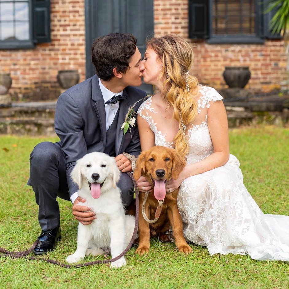 WARNING: These ridiculously cute pictures of dogs in weddings will make your day much better. // mysweetengagement.com