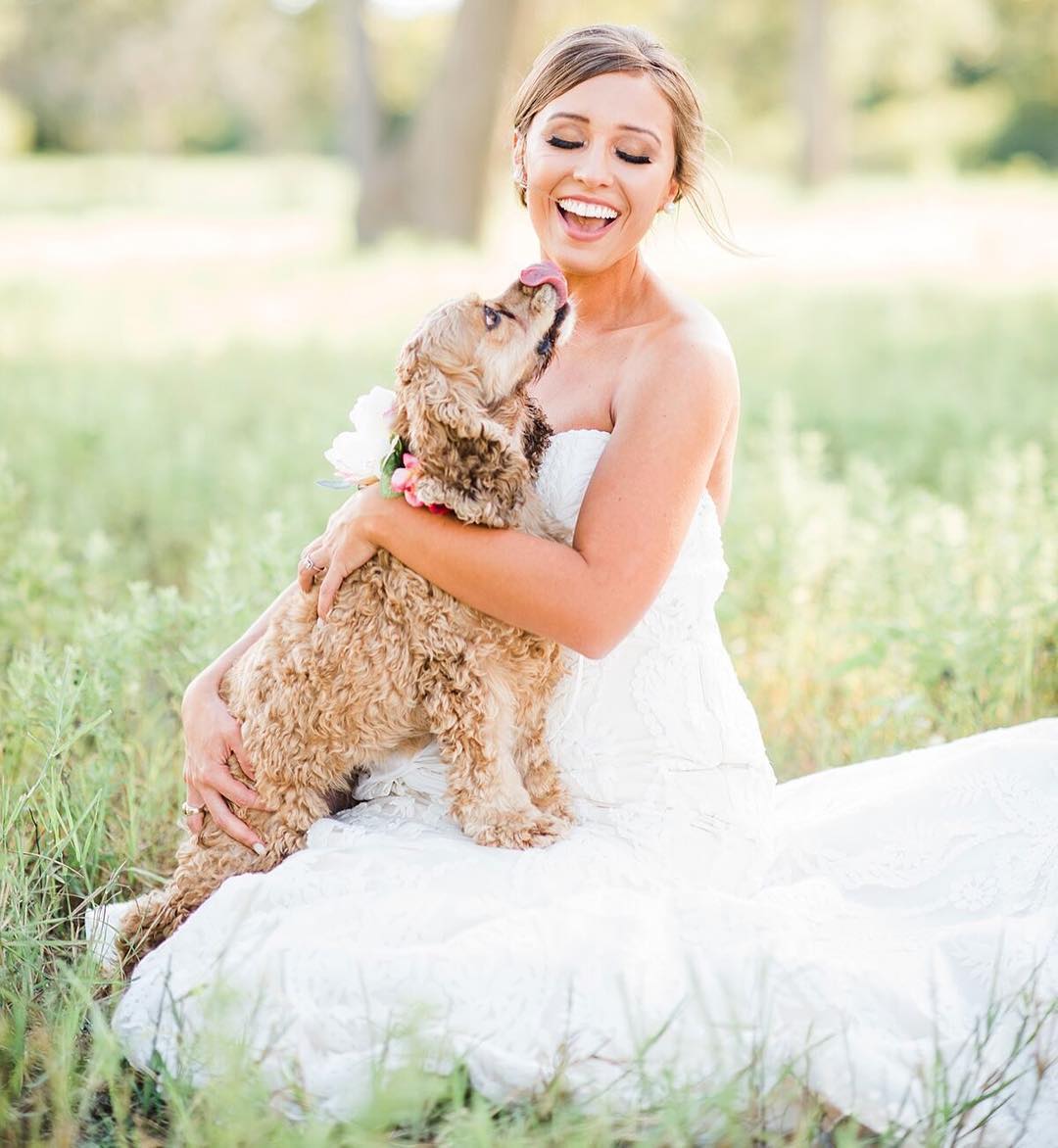 WARNING: These ridiculously cute pictures of dogs in weddings will make your day much better. // mysweetengagement.com